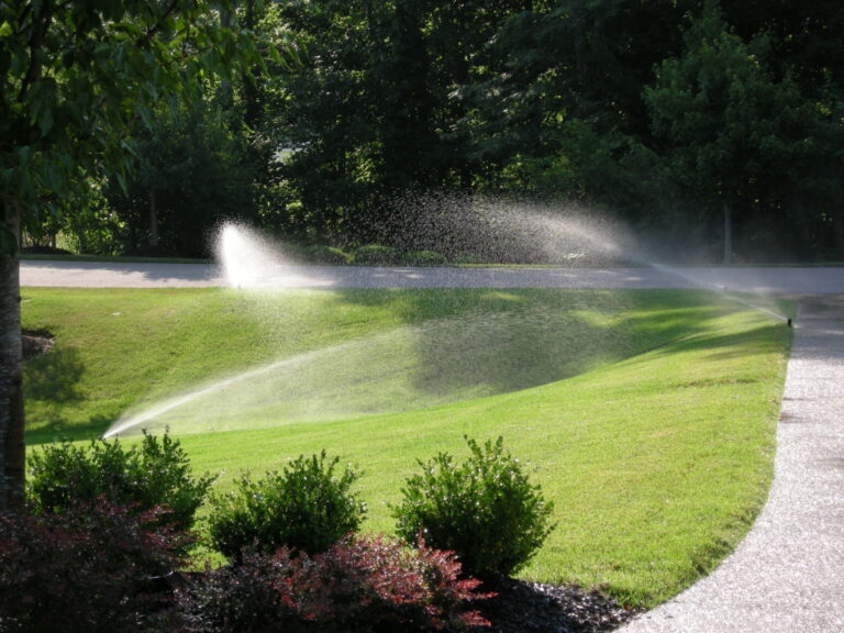 irrigation system running along walking path