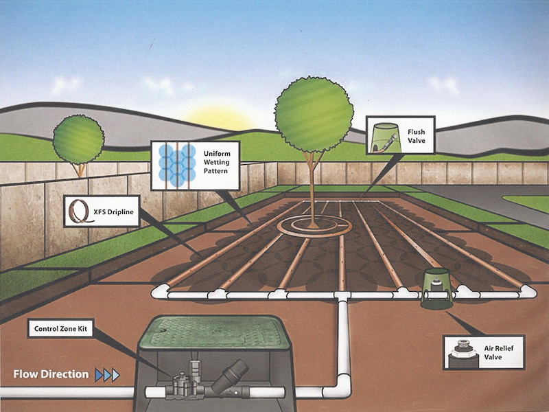 drip irrigation graphic